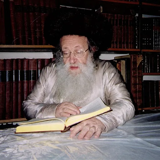 Portrait of Yechiel Fishel Eisenbach