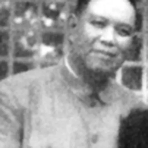 Portrait of Yao Yilin