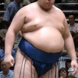 Portrait of Hishofuji Hiroki