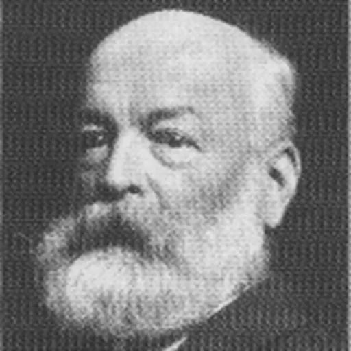 Portrait of Alfred Friedrich Bluntschli