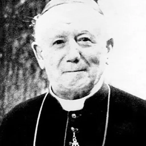 Portrait of Jules-Géraud Saliège