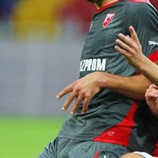 Portrait of Goran Gogić