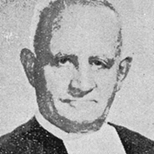 Portrait of Brigant Cassian