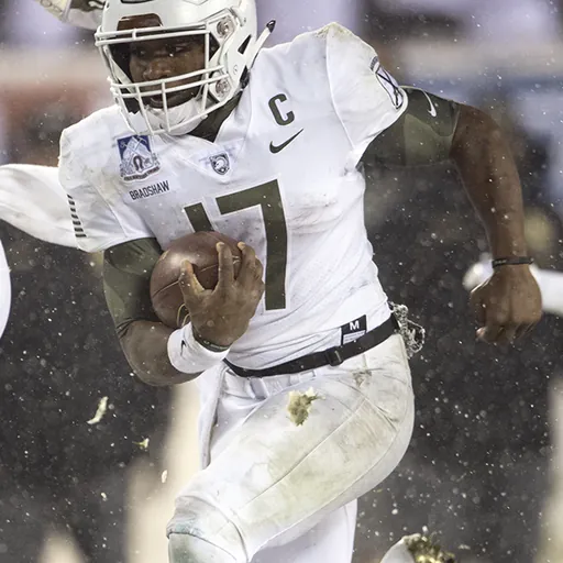 Portrait of Ahmad Bradshaw