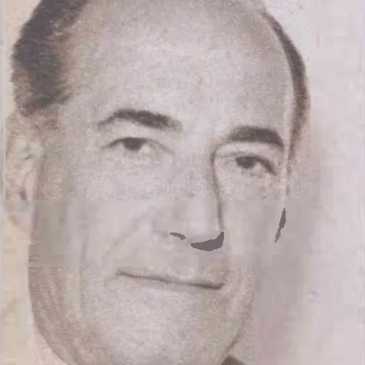Portrait of Ilie Subășeanu