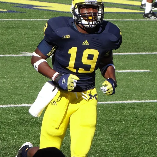 Portrait of Devin Funchess