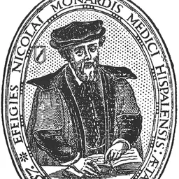 Portrait of Nicolás Monardes