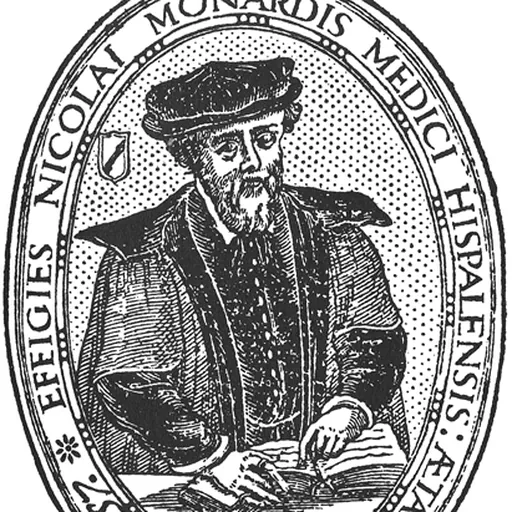 Portrait of Nicolás Monardes