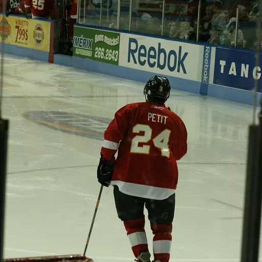 Portrait of Michel Petit