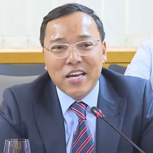 Portrait of Nguyễn Hoàng Long