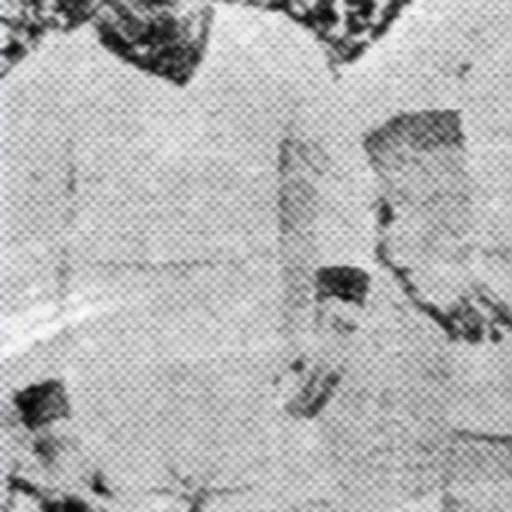 Portrait of Shin Yung-kyoo