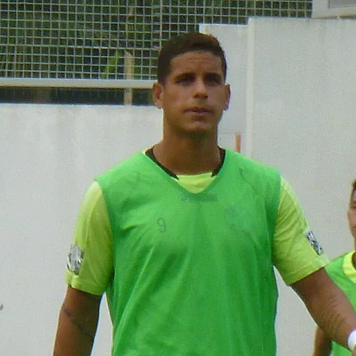 Portrait of Diego Higino