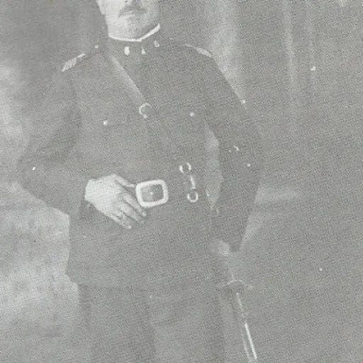 Portrait of José Nicoletti Filho