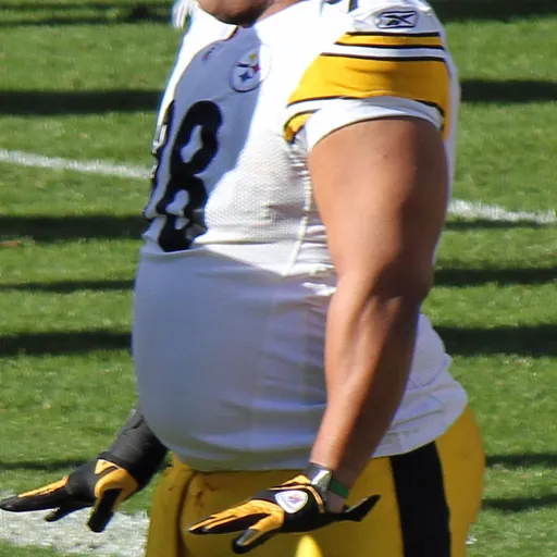 Portrait of Casey Hampton