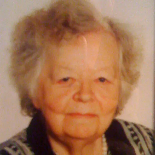 Portrait of Svetlana Pletnyova