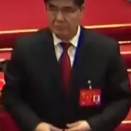 Portrait of Wang Yupu