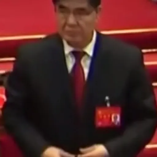 Portrait of Wang Yupu