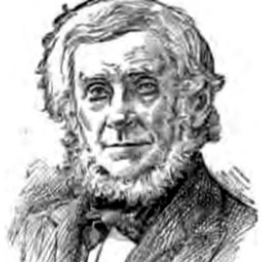 Portrait of Nathaniel Holmes