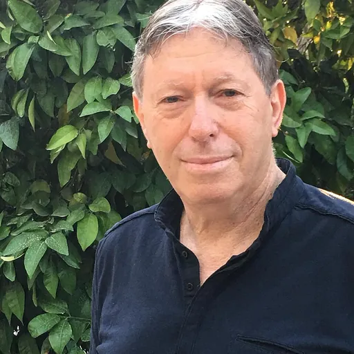Portrait of Yehuda Shinar