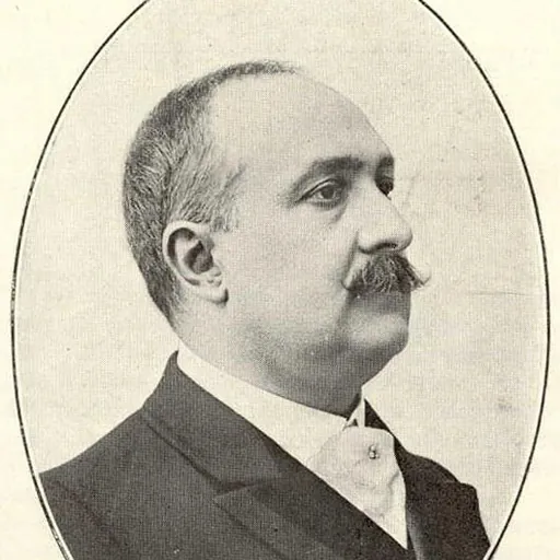 Portrait of Venceslau de Sousa Pereira de Lima