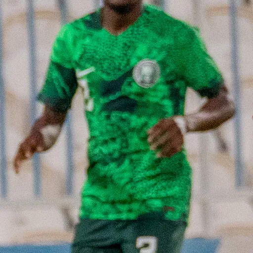 Portrait of Zaidu Sanusi