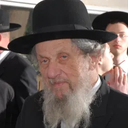 Portrait of Dov Lando