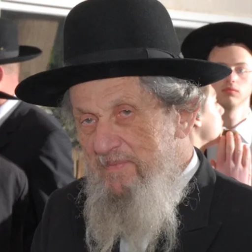 Portrait of Dov Lando