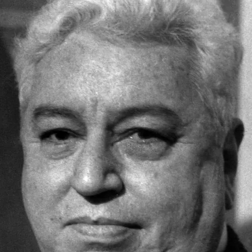 Portrait of Di Cavalcanti