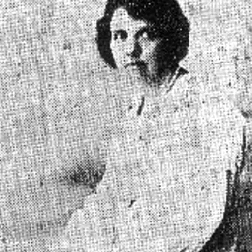 Portrait of Elysa Ayala