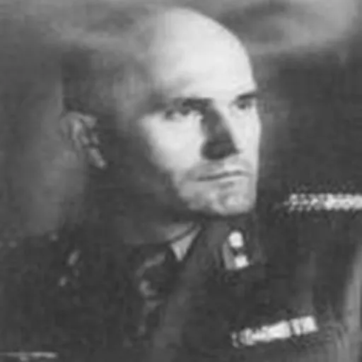 Portrait of Tomislav Sertić