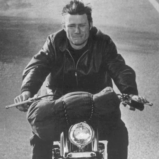 Portrait of Michael Parks