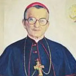 Portrait of Marko Jozinović