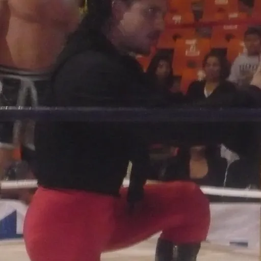 Portrait of El Zorro