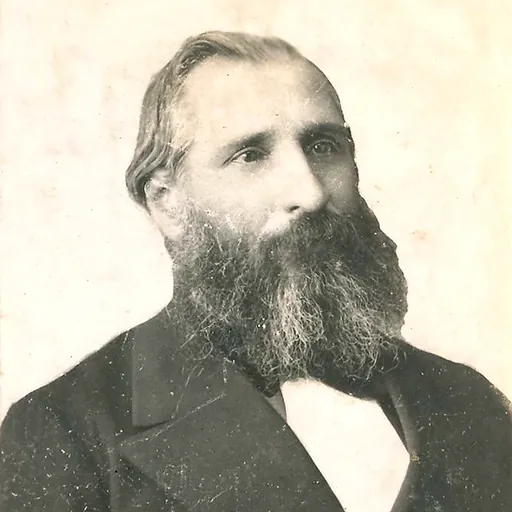 Portrait of Adolfo Alsina