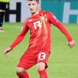 Portrait of Enis Bardhi