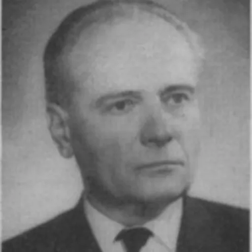Portrait of Zoran Rant