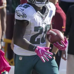 Portrait of Wendell Smallwood