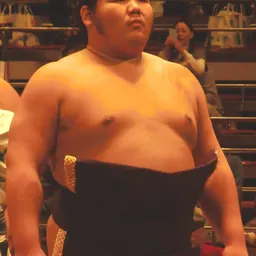 Portrait of Chiyotairyū Hidemasa