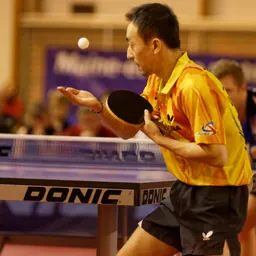 Portrait of Tan Ruiwu