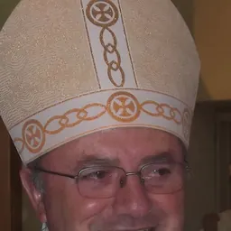 Portrait of João Mamede Filho