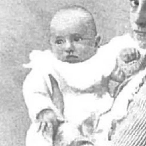 Portrait of Infante Ferdinand of Spain