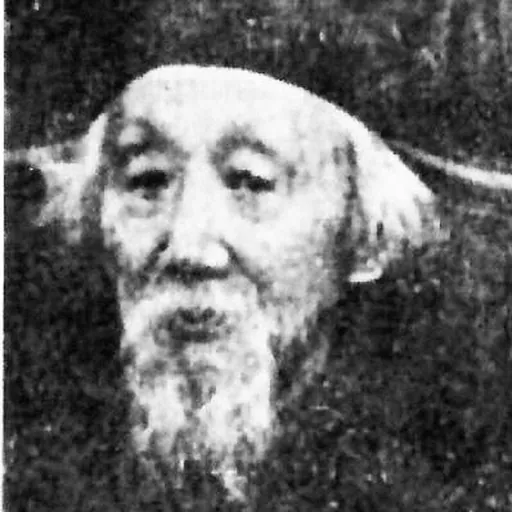 Portrait of Ma Xiangbo
