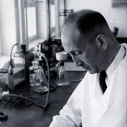 Portrait of Haim Ernst Wertheimer