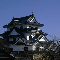 Portrait of Ii Naokatsu