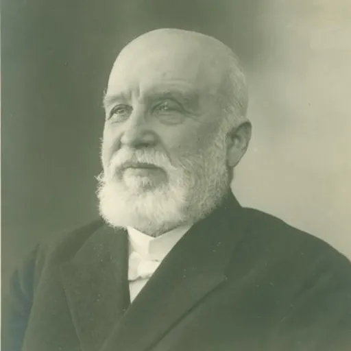 Portrait of Matthias Johann Eisen