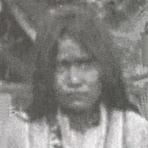 Portrait of Dahteste