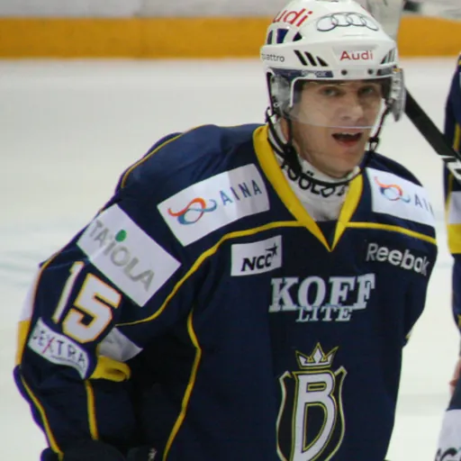 Portrait of Patrik Lostedt