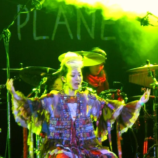 Portrait of Sa Dingding