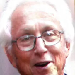Portrait of Daniel Amit