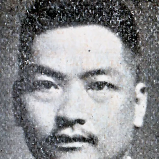 Portrait of Lin Hu